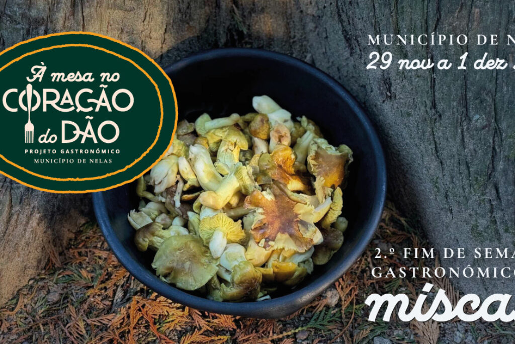 Este fim-de-semana há míscaros em 13 restaurantes do concelho de Nelas