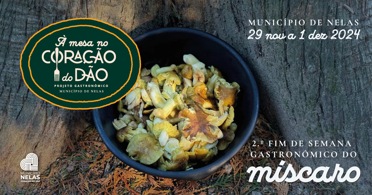 Este fim-de-semana há míscaros em 13 restaurantes do concelho de Nelas