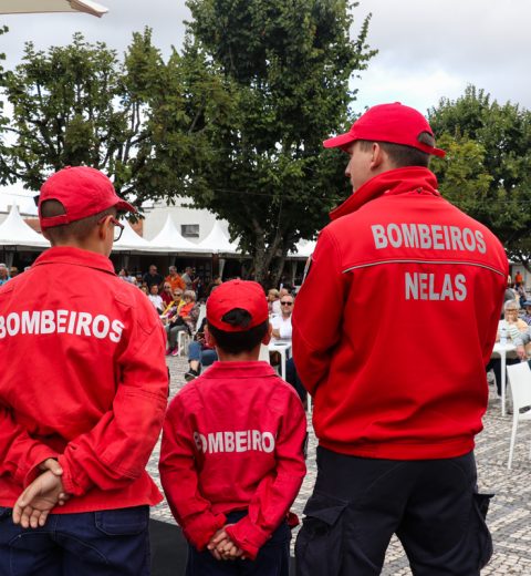 Sessão Solene marca Abertura Oficial da 34ª Feira do Vinho do Dão