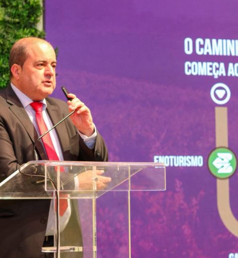 Município de Nelas promove o “Coração do Dão” na BTL 2026