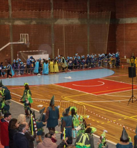 Carnaval no Coração do Dão 2026 – Alegria e folia encheram hoje as ruas de Canas de Senhorim