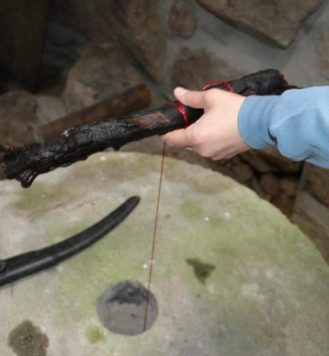 DÃO EM FESTA: QUINTA DO CASTELO RECEBE OS MELHORES DO ENOTURISMO