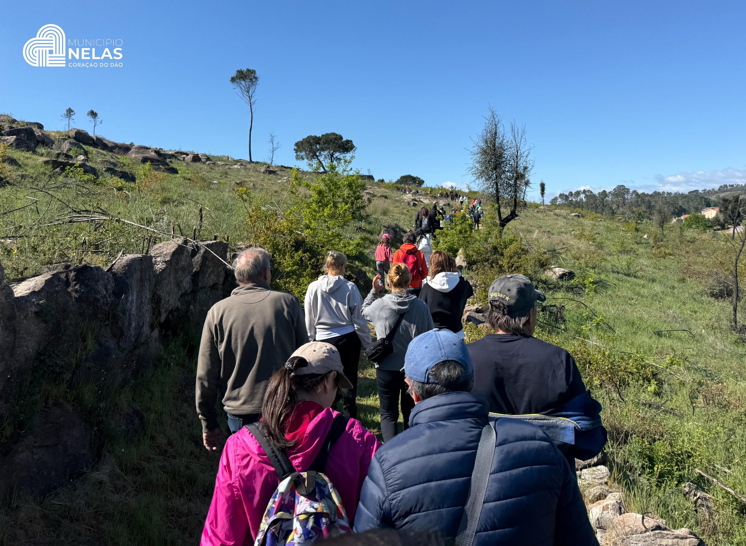 2º dia do Festival dos Moinhos de Portugal | 12 de abril 2026